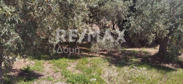 Image No.18-Property for sale