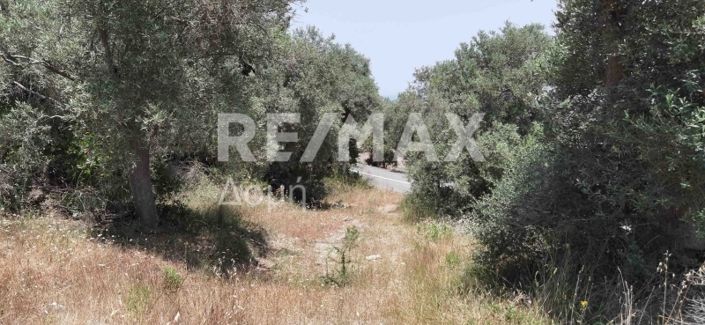 Image No.27-Property for sale