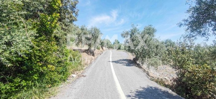 Image No.31-Property for sale