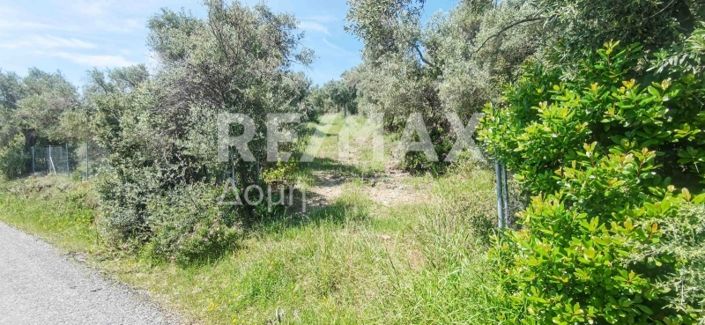 Image No.32-Property for sale