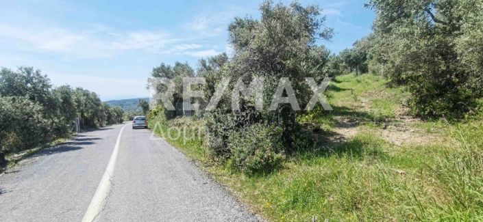 Image No.33-Property for sale