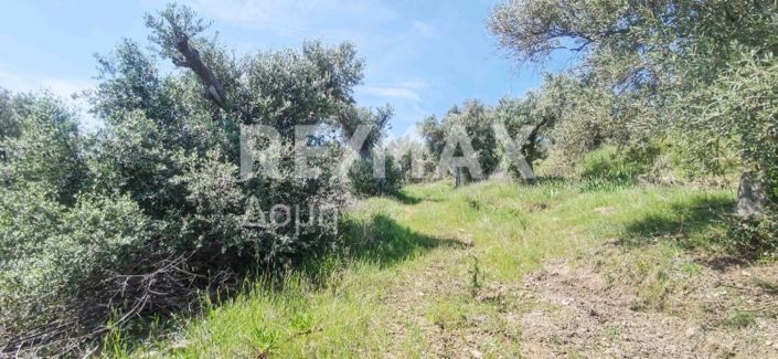 Image No.34-Property for sale