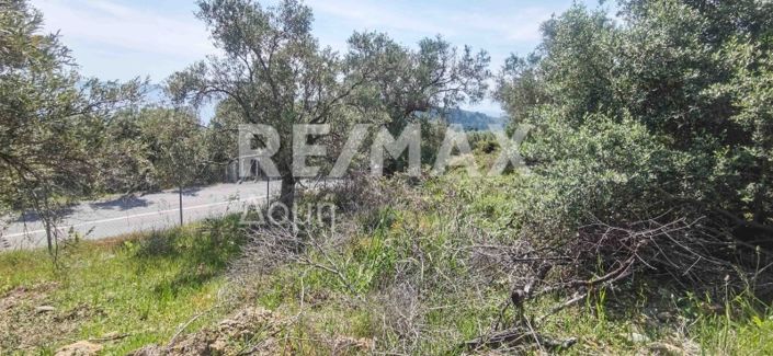 Image No.35-Property for sale