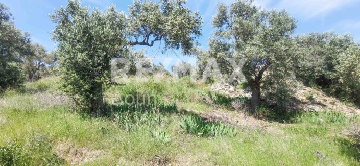 Image No.36-Property for sale