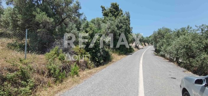 Image No.6-Property for sale