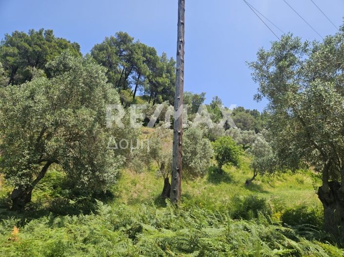 Image No.14-Property for sale