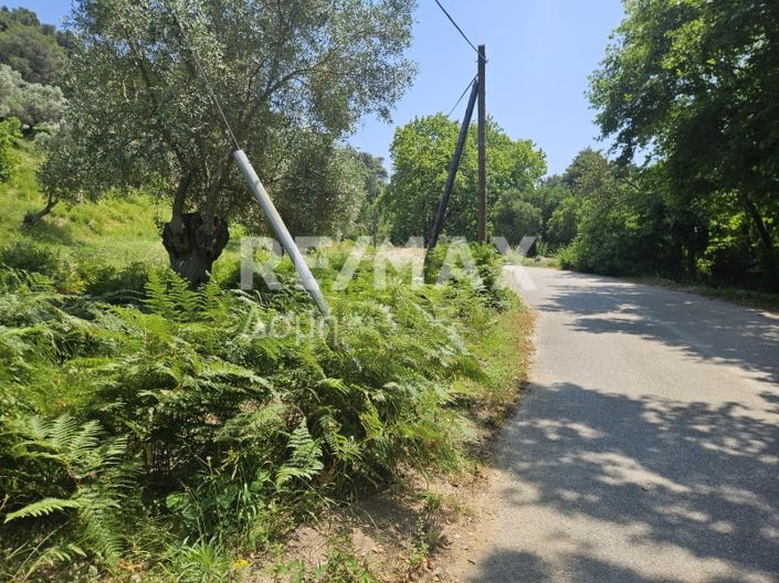 Image No.6-Property for sale