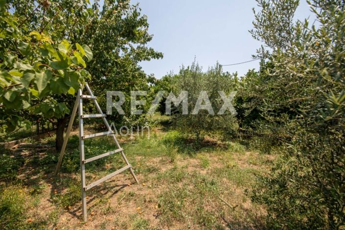 Image No.35-3 Bed Property for sale