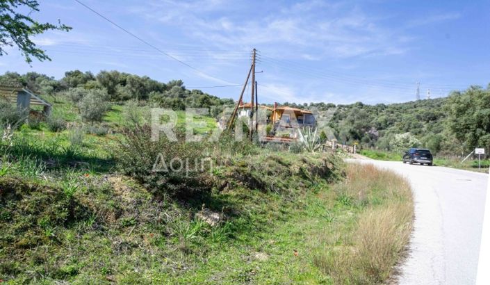 Image No.1-Property for sale