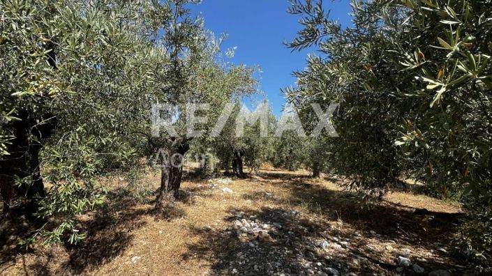 Image No.12-Property for sale