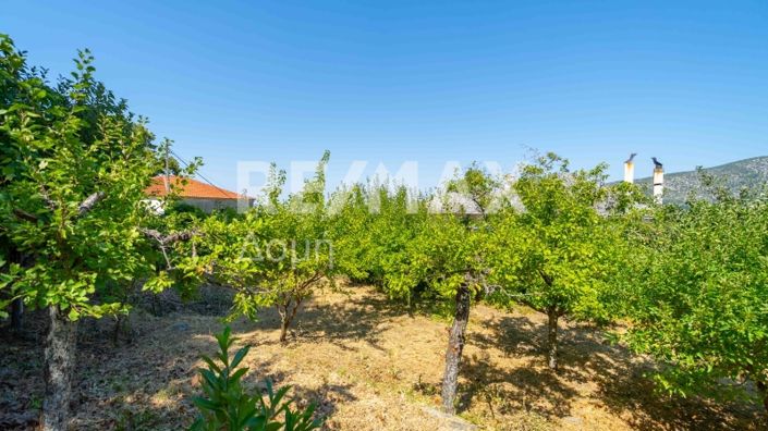 Image No.58-5 Bed Property for sale