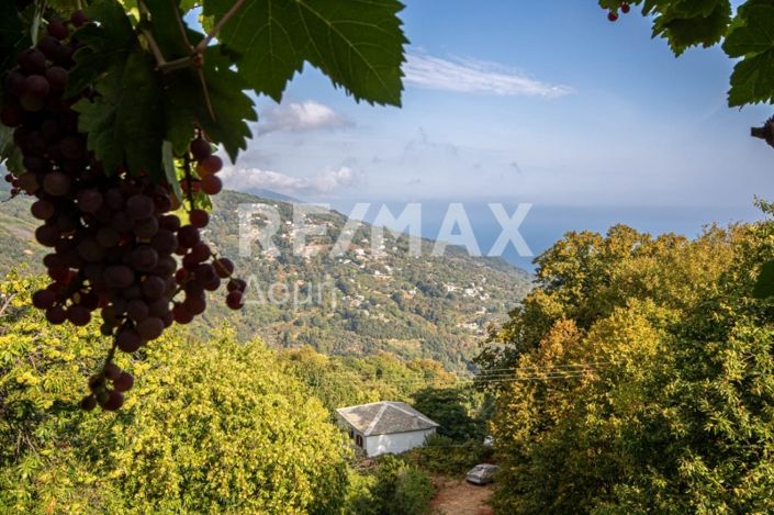 Image No.33-3 Bed House for sale