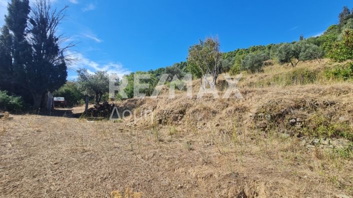 Image No.10-Property for sale