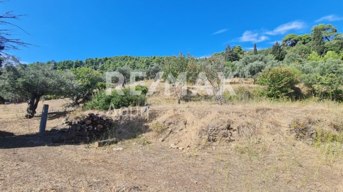 Image No.3-Property for sale