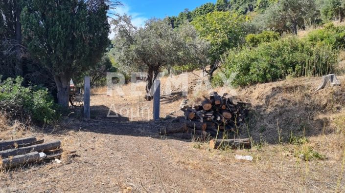 Image No.4-Property for sale