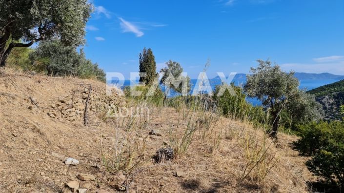 Image No.7-Property for sale