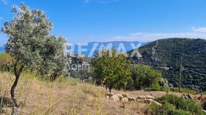 Image No.8-Property for sale