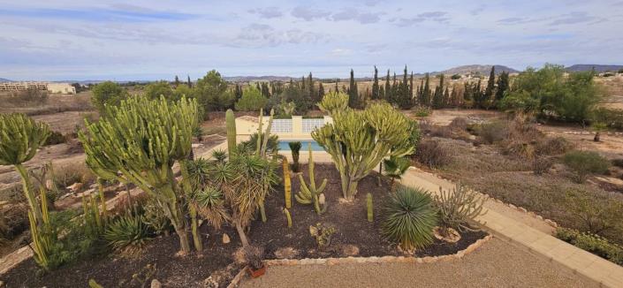 Image No.36-3 Bed Finca for sale