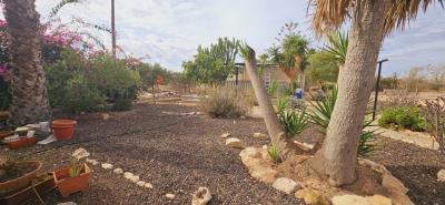 25-10-2023_WhatsAppImage2023-10-23at13-19-15-1-