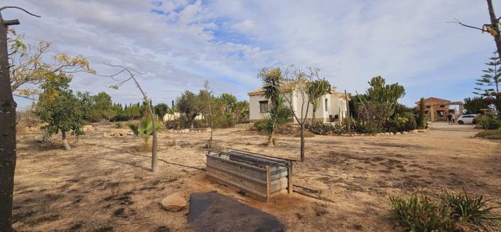 Image No.39-3 Bed Finca for sale