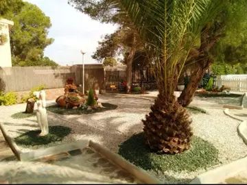 melsuyhalga_6frh8b0add3_WhatsApp-Image-2025-08-26-at-14-06-50--7--jpeg-jpeg