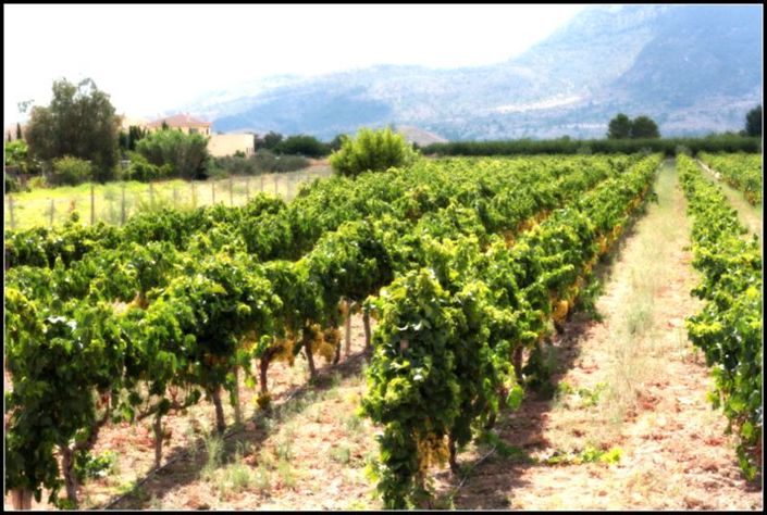 Image No.9-3 Bed Penthouse for sale