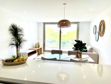 256805256805hh-donsen-zenzimg130000