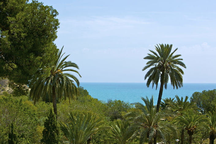 Image No.13-3 Bed Penthouse for sale