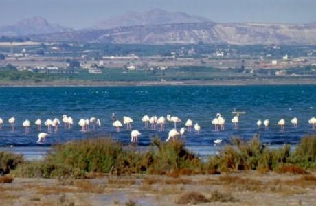 Image No.18-3 Bed Apartment for sale