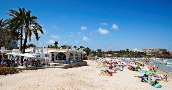 Image No.10-3 Bed Apartment for sale