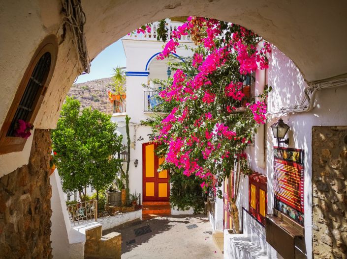 Image No.12-3 Bed Penthouse for sale