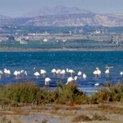 Image No.21-3 Bed Apartment for sale