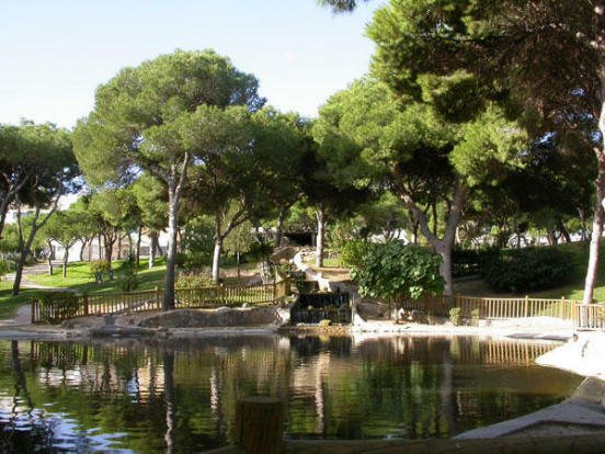 Image No.6-3 Bed Bungalow for sale