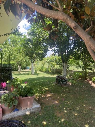 Image No.8-3 Bed Villa / Detached for sale