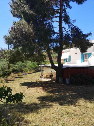 Image No.11-4 Bed Villa / Detached for sale