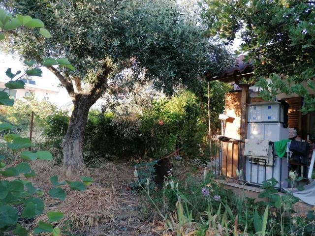 Image No.4-Land for sale