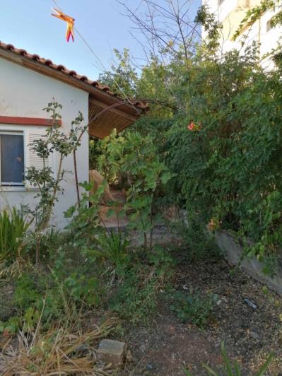 Image No.3-Land for sale