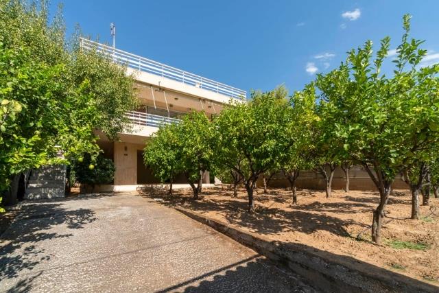 Image No.3-Land for sale