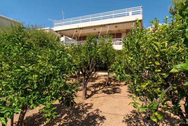 Image No.4-Land for sale