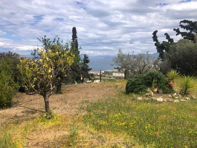 Image No.13-3 Bed Villa / Detached for sale