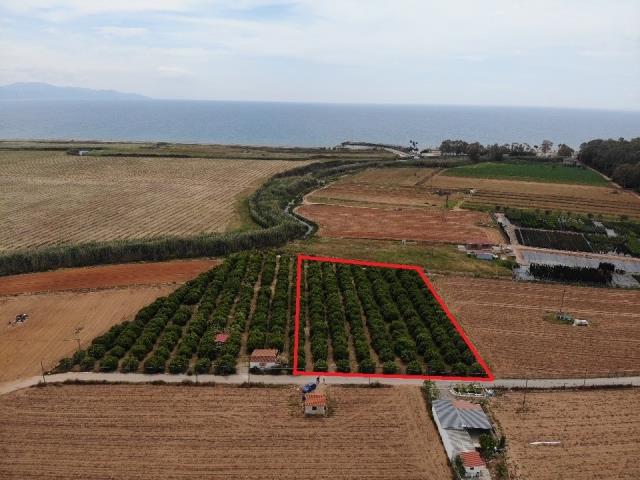 Image No.2-Land for sale