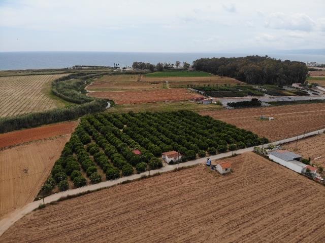 Image No.5-Land for sale