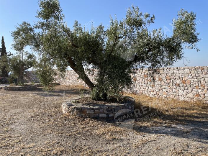 Image No.5-4 Bed House for sale