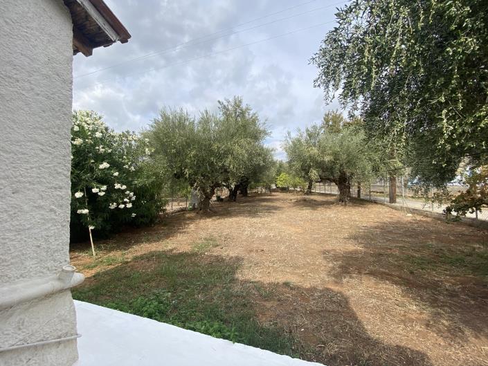 Image No.8-2 Bed House for sale