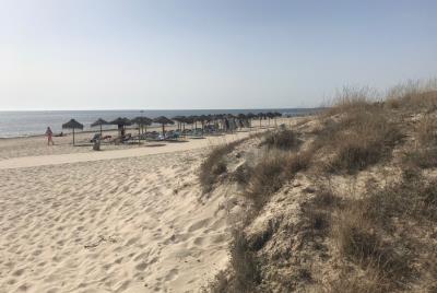 higuericas-beach-cp-4-1170x785