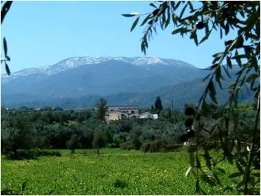 Image No.8-5 Bed Villa / Detached for sale