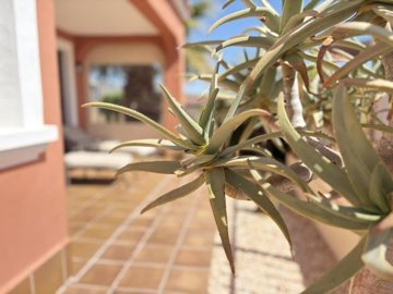 svm728520-4-image-10