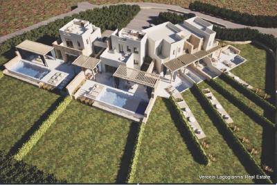 1 - Naxos, House