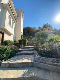 palm-grove-apartment-jpg20