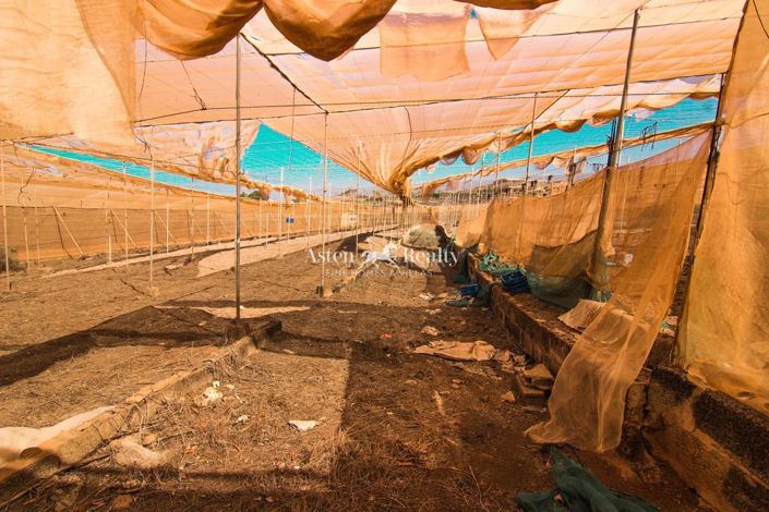 Image No.10-Plot for sale